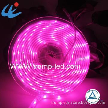 Underwater 12v Christmas Led Light